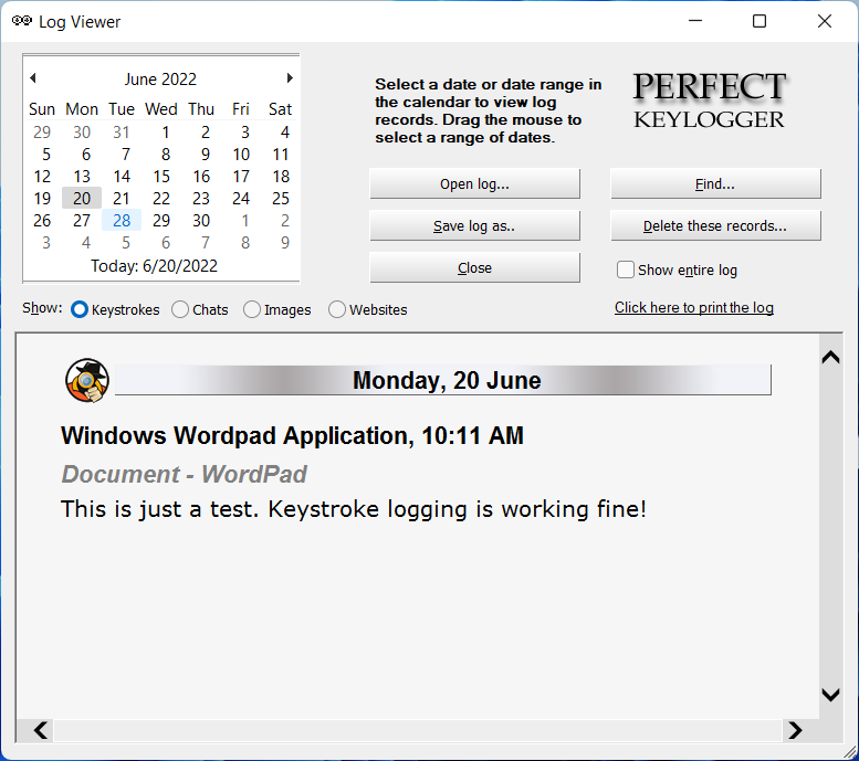 Perfect Keylogger