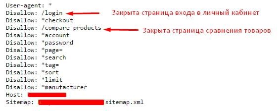 Запрет индексации дублей в Robots.txt
